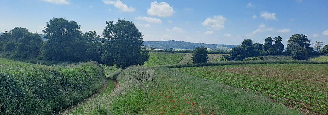 A Yeo field with a buffer track