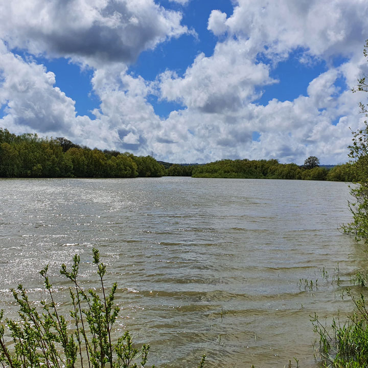 Sutton Bingham Reservoir