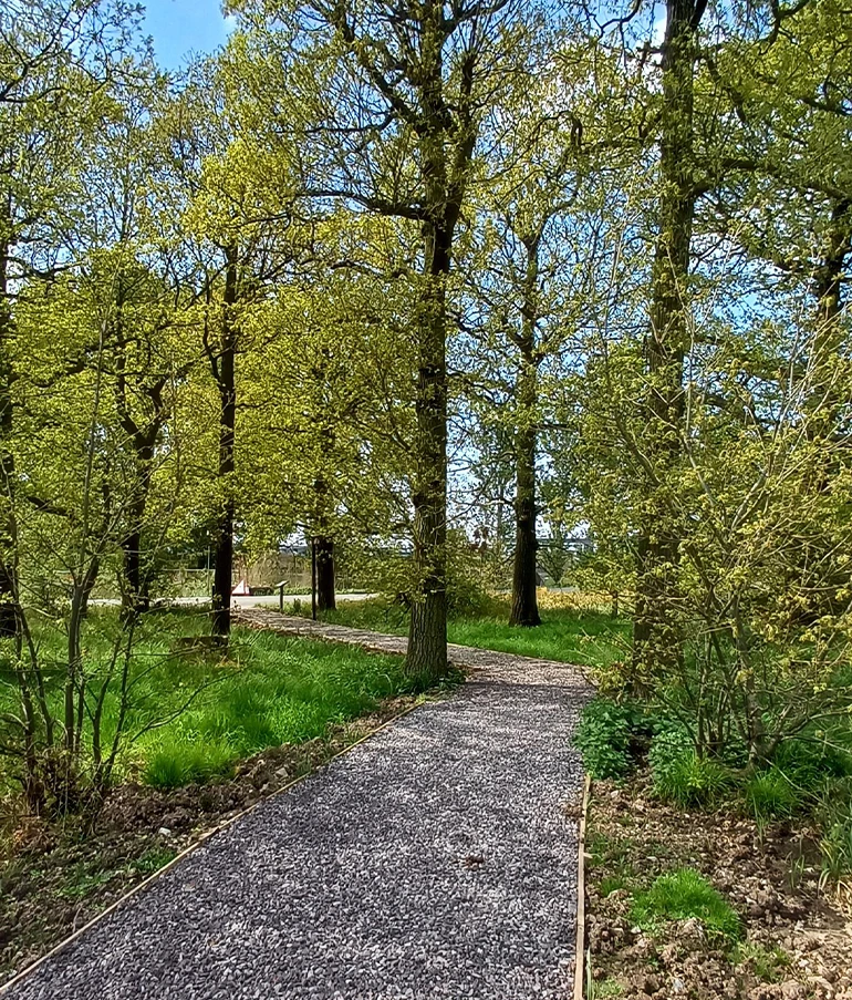 Revamped footpaths at Mere Bank