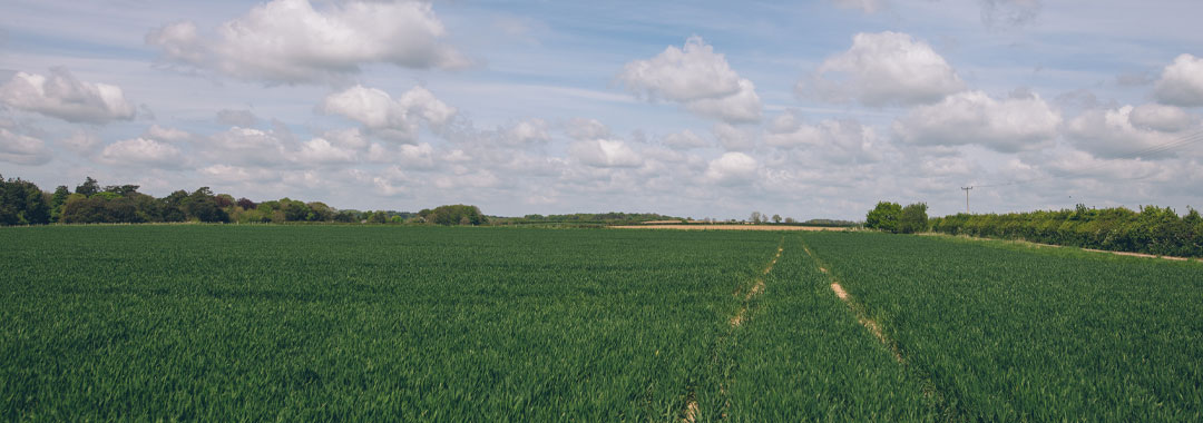 A farmers field with a track