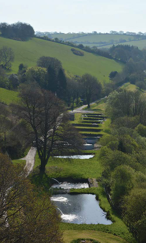 Clatworthy reservoirs fish farm